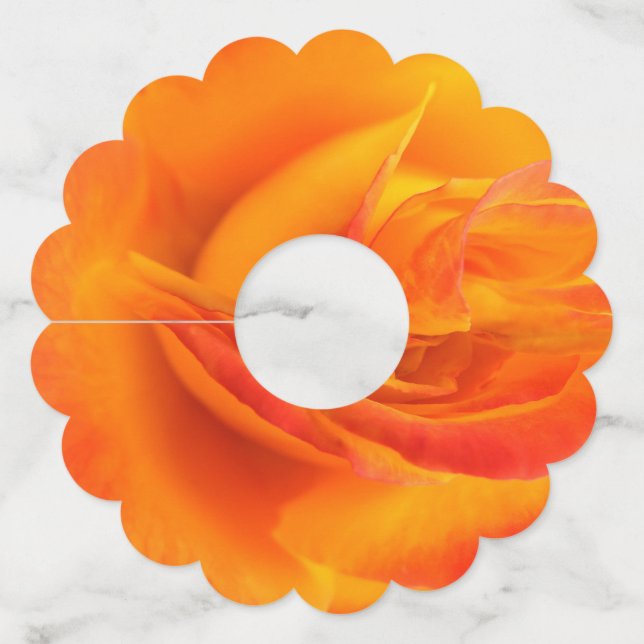 Étiquettes de verre de vin en papier Rose orange (Devant)