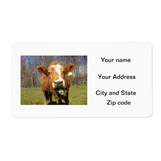 Étiquettes d'expédition de vache (Devant)