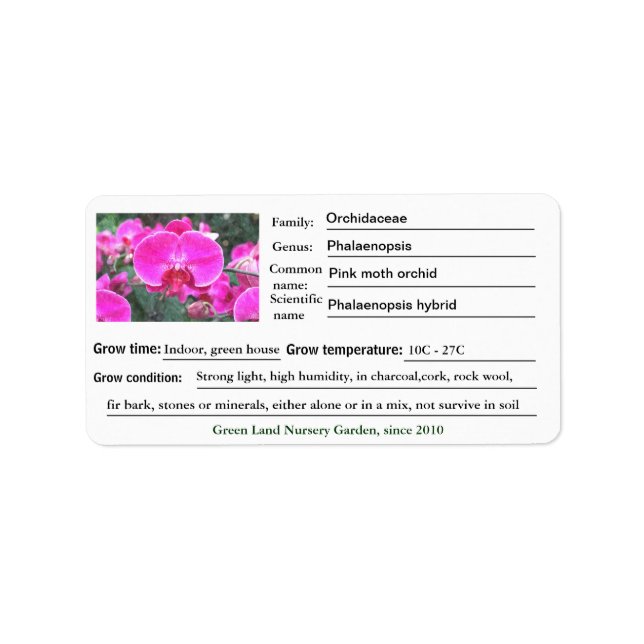 Étiquettes du jardin fleuri d'orchidées roses. (Devant)