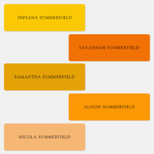 Étiquettes Enfants de l'école colorée brillante Nom étanche