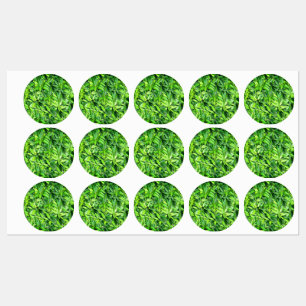 Étiquettes Feuilles verts réalistes