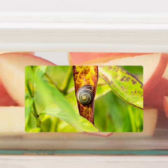 Étiquettes fixation calme (Apposé)