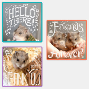 Étiquettes Hammyville - Hamsters Bonjour, BFF, Merci