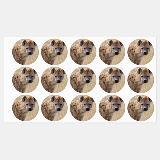 Étiquettes Hyena (Feuille)