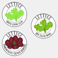 Laitue feuille de chêne verte, Romaine et Salad Bo