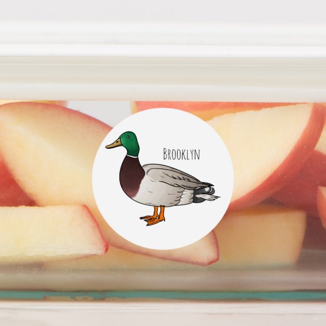 Étiquettes Mallard duck cartoon illustration (Apposé)