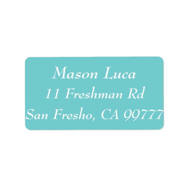 Étiquettes Modèles Sky turquoises (Devant)