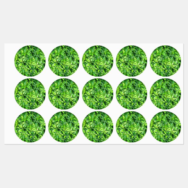 Étiquettes Motif Feuille verdoyant - Nature Botanique (Feuille)
