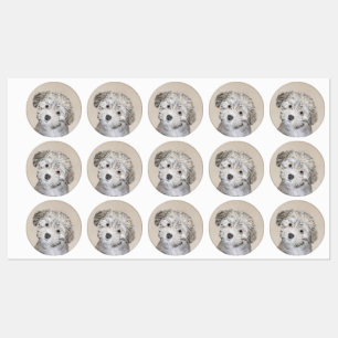 Étiquettes Peinture de Chien Havanais - Cute Original Chien A