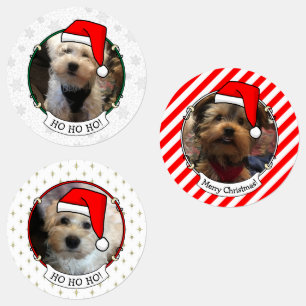 Étiquettes Personnalisé Trois Photo Animaux de Noël Santa Hat