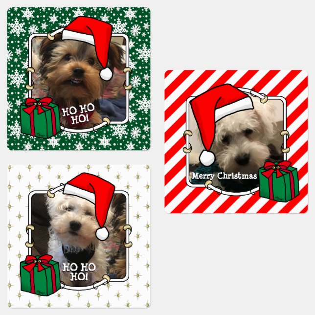 Étiquettes Personnalisé Trois Photo Animaux de Noël Santa Hat (Groupe)