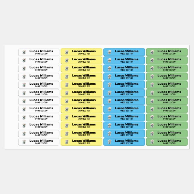 Étiquettes Pet1a nom et numéro de téléphone personnalisés fer (Feuille)