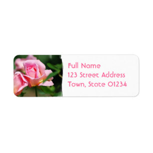 Étiquettes postales de bourgeon de rose de rose