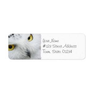 Étiquettes postales de photo de hibou de Milou