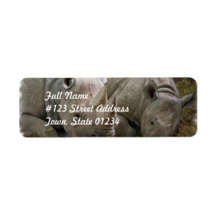 Étiquettes postales de rhinocéros de sommeil