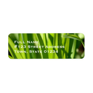 Étiquettes postales d'herbe