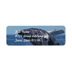 Étiquettes postales sautantes de baleine de bosse