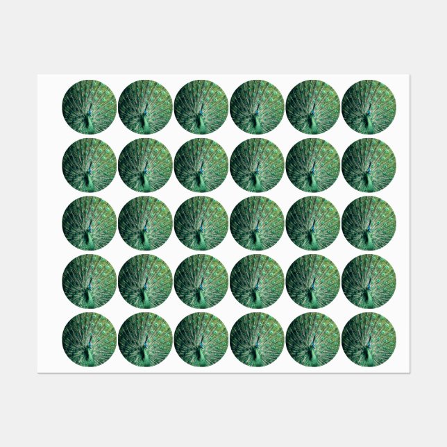 Étiquettes Strut Peacock (Feuille)
