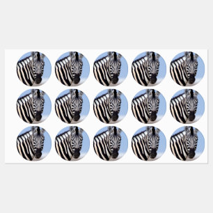 Étiquettes Zebra looking at you