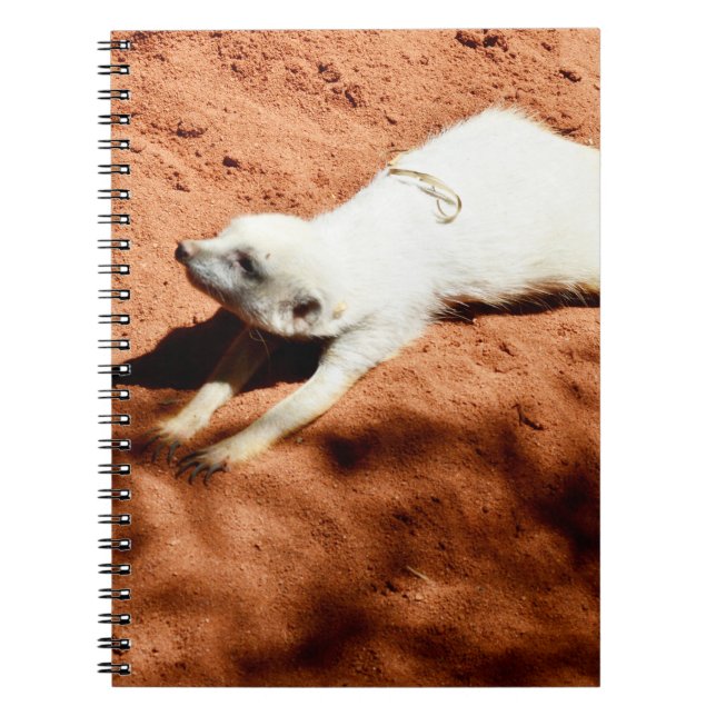 Étirement Meerkat Blanc, Carnet (Devant)