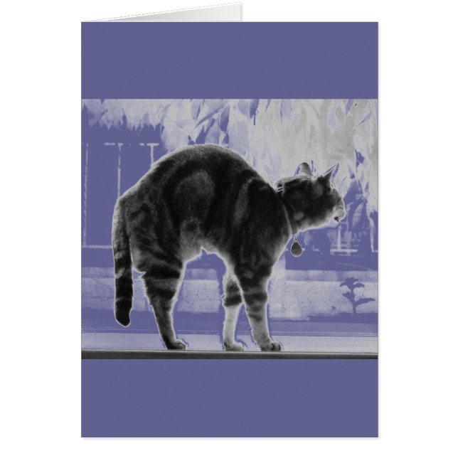 Étirer le crayon Indigo (Devant)