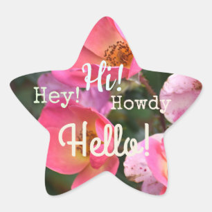 Étoile Bonjour ! Salut ! Bonjour ! Sticker Flower Star