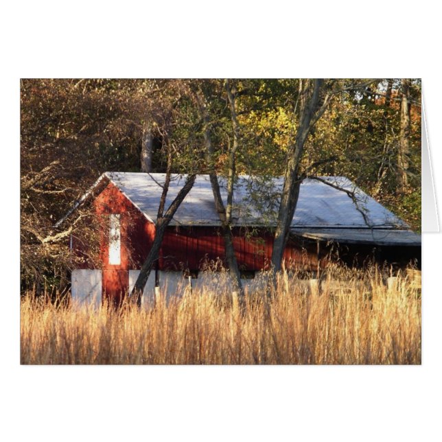 Étoile d'automne dans le Maryland central (Devant horizontal)