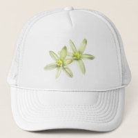 Étoile de casquette de Bethlehem