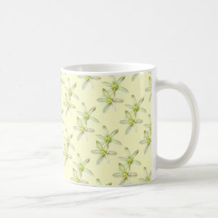 Étoile de tasse de Bethlehem
