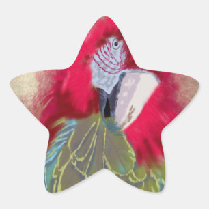Étoile Le perroquet - Sticker