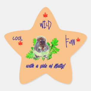 Étoile Sticker cool Wild Fun