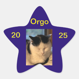 Étoile Sticker Lenny
