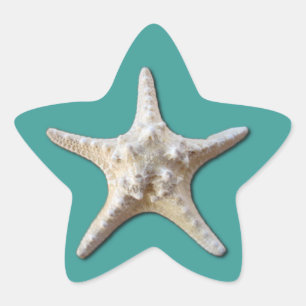 Étoile Sticker Starfish