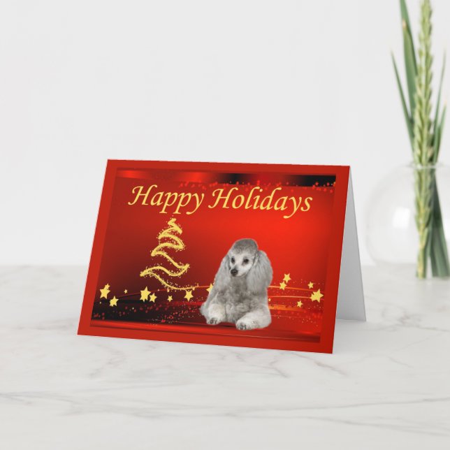 Étoiles de carte de Noël de caniche (Devant)