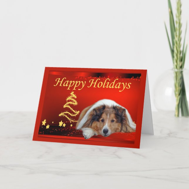 Étoiles de carte de Noël de Sheltie (Devant)
