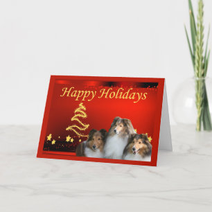 Étoiles de cartes de Noël