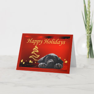 Étoiles de la carte de Noël du Labrador Retriever1