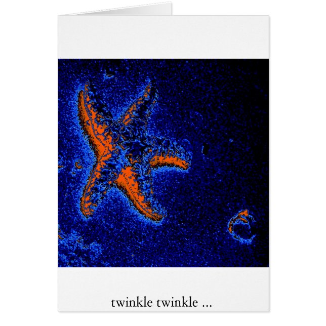 étoiles de mer (Devant)