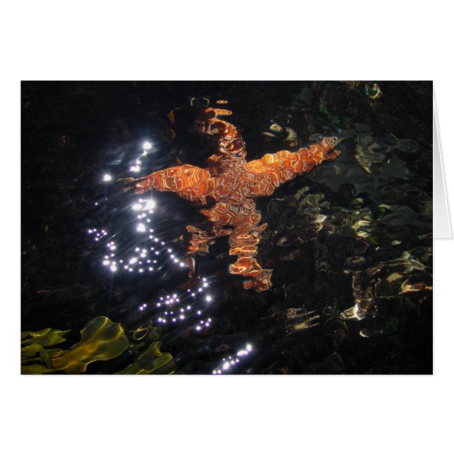 Étoiles de mer chez Tidepool (Devant horizontal)