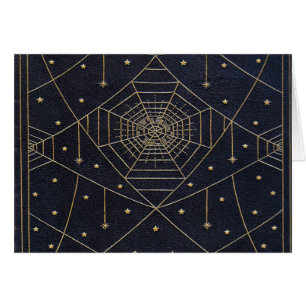 Étoiles de soie d'araignée tombée