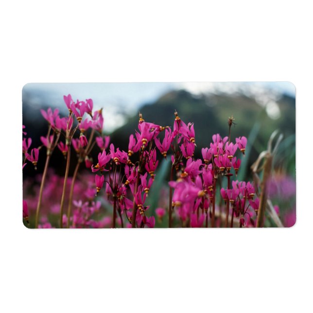 Étoiles de tir dynamiques (Devant)