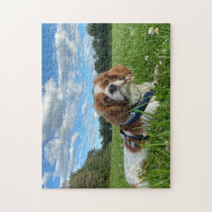 Étonnant Cavalier King Charles Spaniel Puzzle