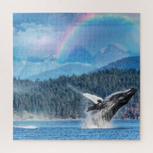 Étonnante baleine à bosse brisant le puzzle arc-en