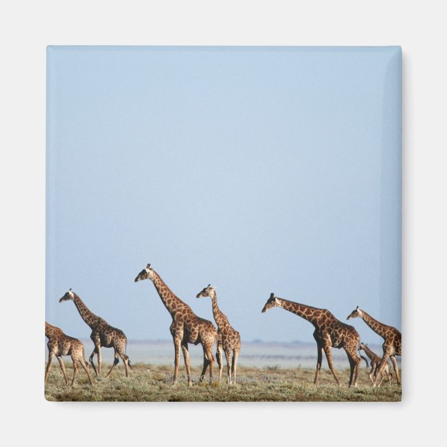 Etosha National Park, Namibia 2 Magnet (Front)