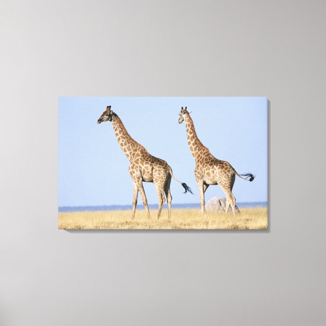 Etosha National Park, Namibia Canvas Print (Front)
