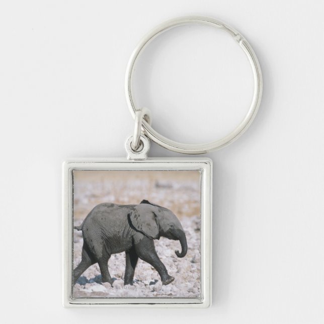 Etosha National Park, Namibia Keychain (Front)