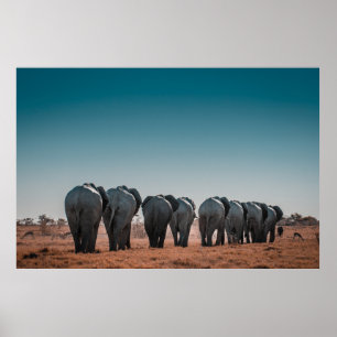 ETOSHA NATIONAL PARK POSTER