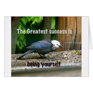 étourneau à tête blanche