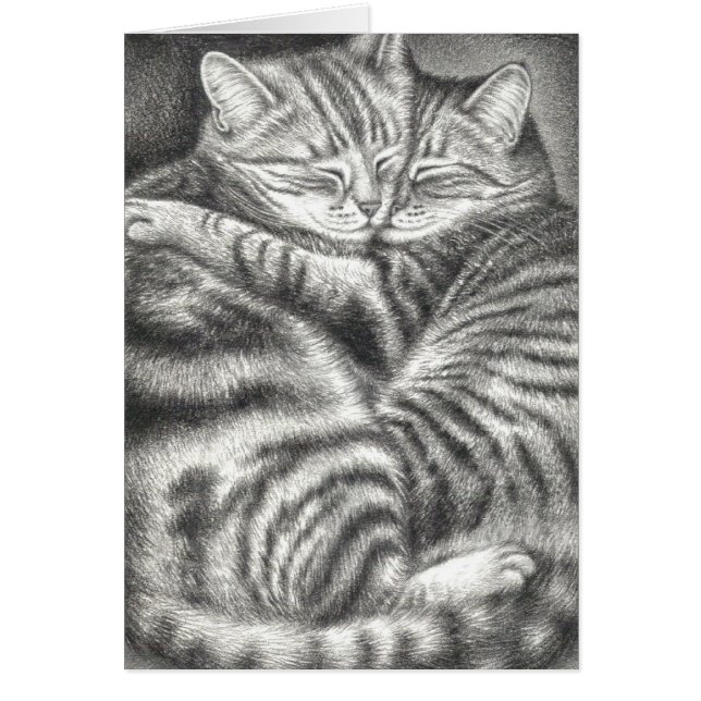 ÉTREINDRE LES CHATS TIGRÉS (Devant)