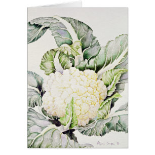 Étude 1993 de chou-fleur